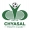 Chyasal Youth Club's logo